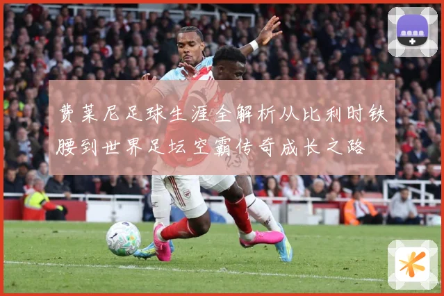 费莱尼足球生涯全解析从比利时铁腰到世界足坛空霸传奇成长之路