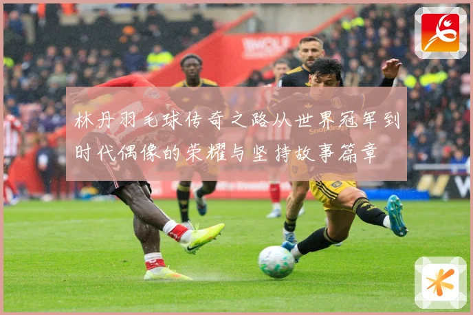 林丹羽毛球传奇之路从世界冠军到时代偶像的荣耀与坚持故事篇章