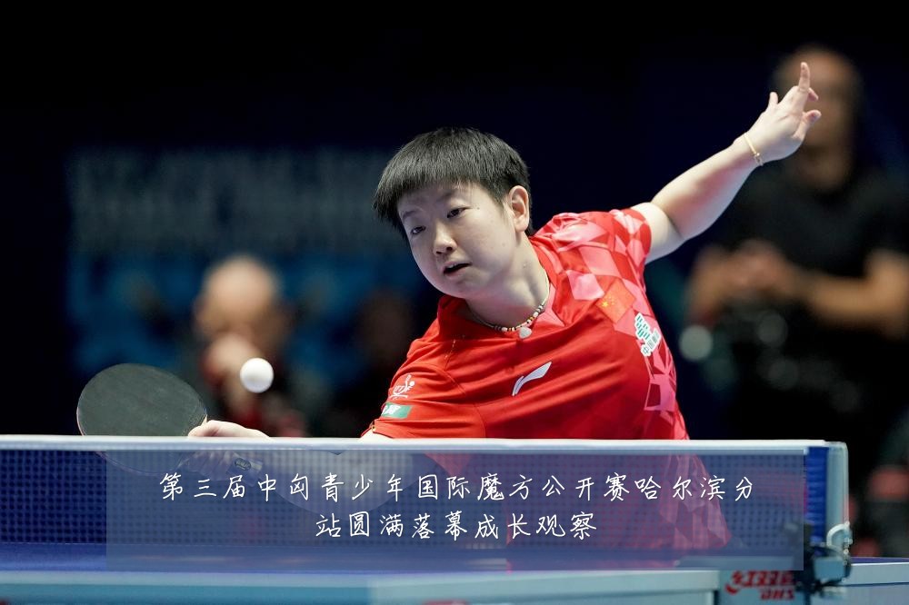 第三届中匈青少年国际魔方公开赛哈尔滨分站圆满落幕成长观察