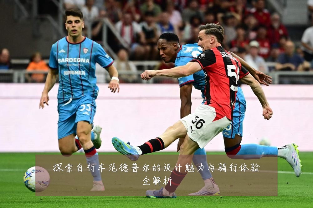 探索自行车范德普尔的设计魅力与骑行体验全解析
